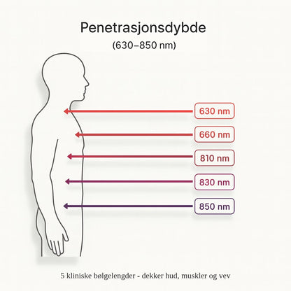 REDIFY® Prodigy – Rødlyspanel